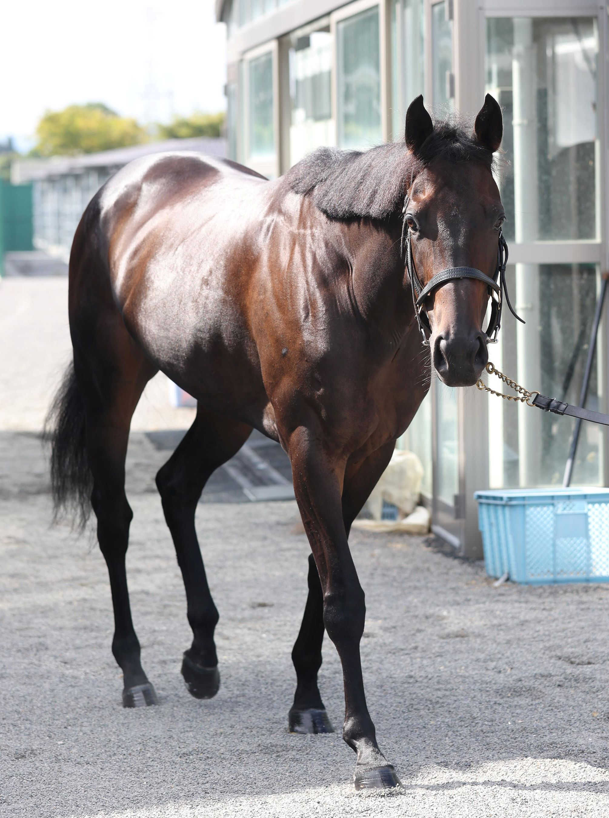 ڥޥãӡۥĴԡ롡رġֹϤϤäưƤޤ