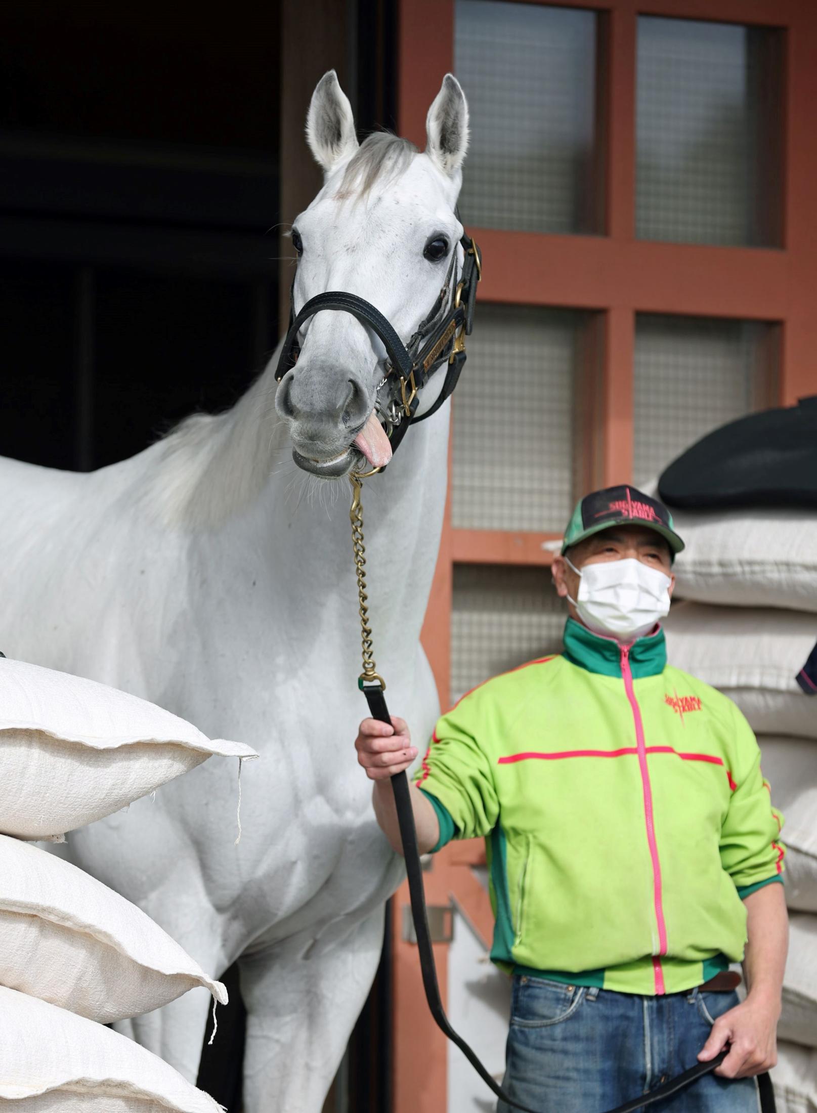 【マイルＣＳ】ガイアフォース　初Ｇ１獲りへ好調　杉山晴師は３枠６番を歓迎「内過ぎなくて良かった」