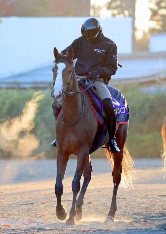 ڥޥCSȾХ󥳥֥ꥤϤƱ4л93ǯޥCS졢졢Ⱦžޥʡ ַפ餪ΰƬϥ˥