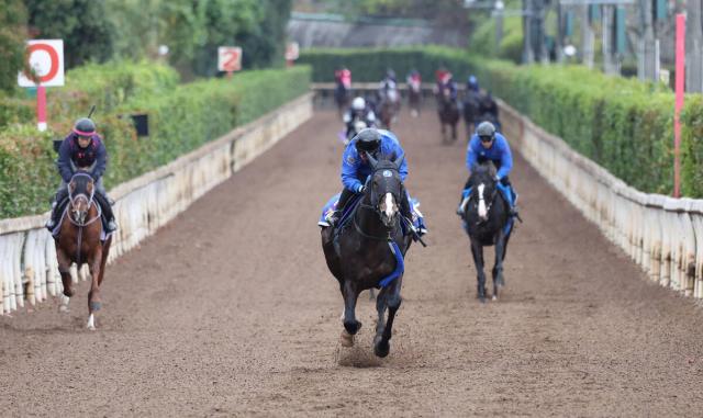 ڥޥCSϥȥĺǯƱҥƤƸG1ž夲ĩ