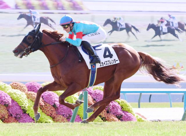 ڵ5R2пϡۥץ1ֿ͵˱ƲCǥࡼֳڤ˥ޤǶȴ