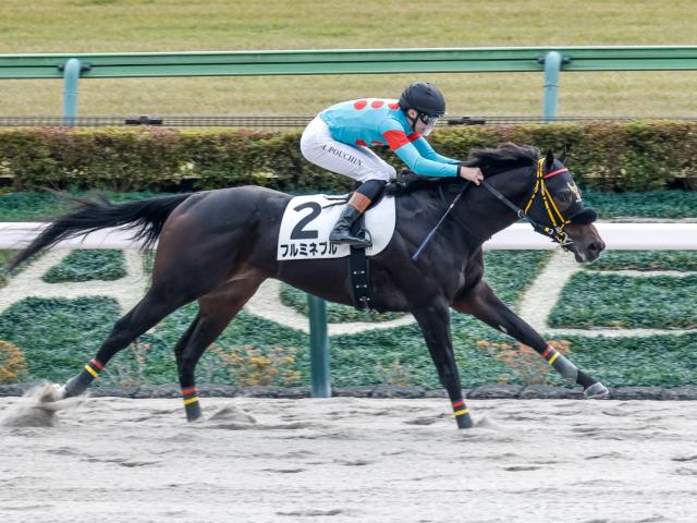 【東京4R新馬戦結果】ボルトドーロ産駒フルミネブルが人気に応えて快勝