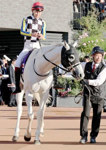 【マイルCS】安田記念に続く2着のガイアフォースに横山武史騎手「食らいついていけたのはよく頑張ってくれた」