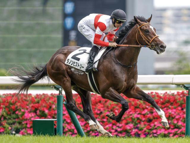 쥹2SåۥΥҥȥ꡼2.7ܤ1ֿ͵