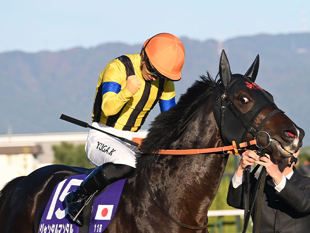 ڥޥCS졼女ȡۥ󥿥ޥ󥿥ľ