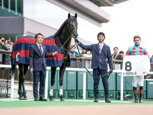 ڥᥤǥӥ塼5R졼女ȡۥΡ֥륵 A.ס󵳼