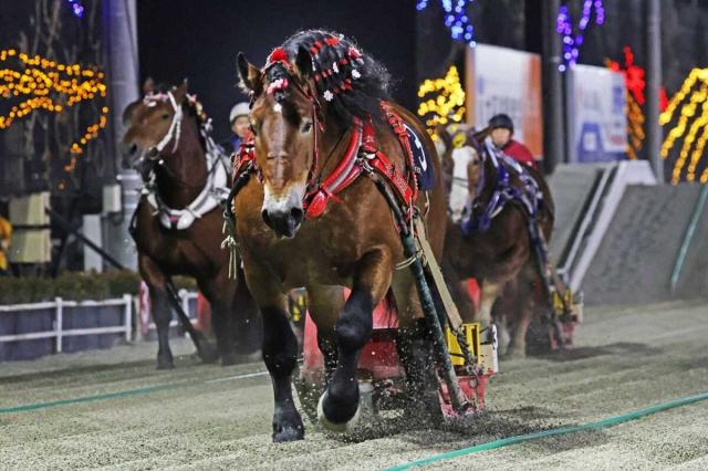 ڤФ󤨤ϡɥ꡼२åסۥ饭󥰥ž8ܡ͵ֺǸޤǴĥä