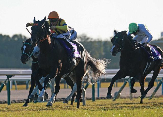 ڥޥCSۥ󥿥ޥ󥿥롡˾JRAǥޥG1ơ졼쥳1ʬ313