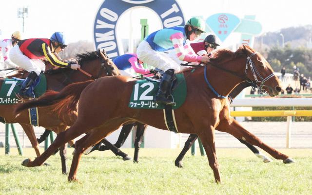 ڥޥCS3奦ҥ 15ֿ͵Сž4ܤǷ