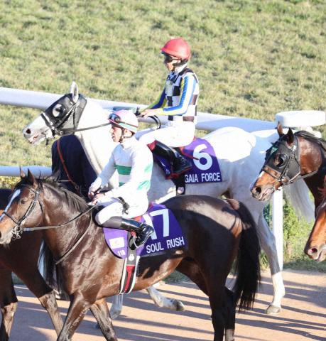 ڥޥCS6好å塡ϢƤʤ餺Cǥࡼľȿꤸ