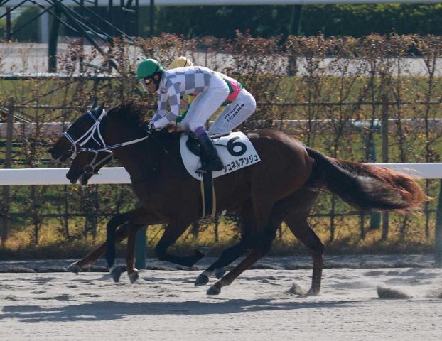 ڵԿۥͥ륢󥸥塡η㤷ɤ˭֤줫ޤɤʤ