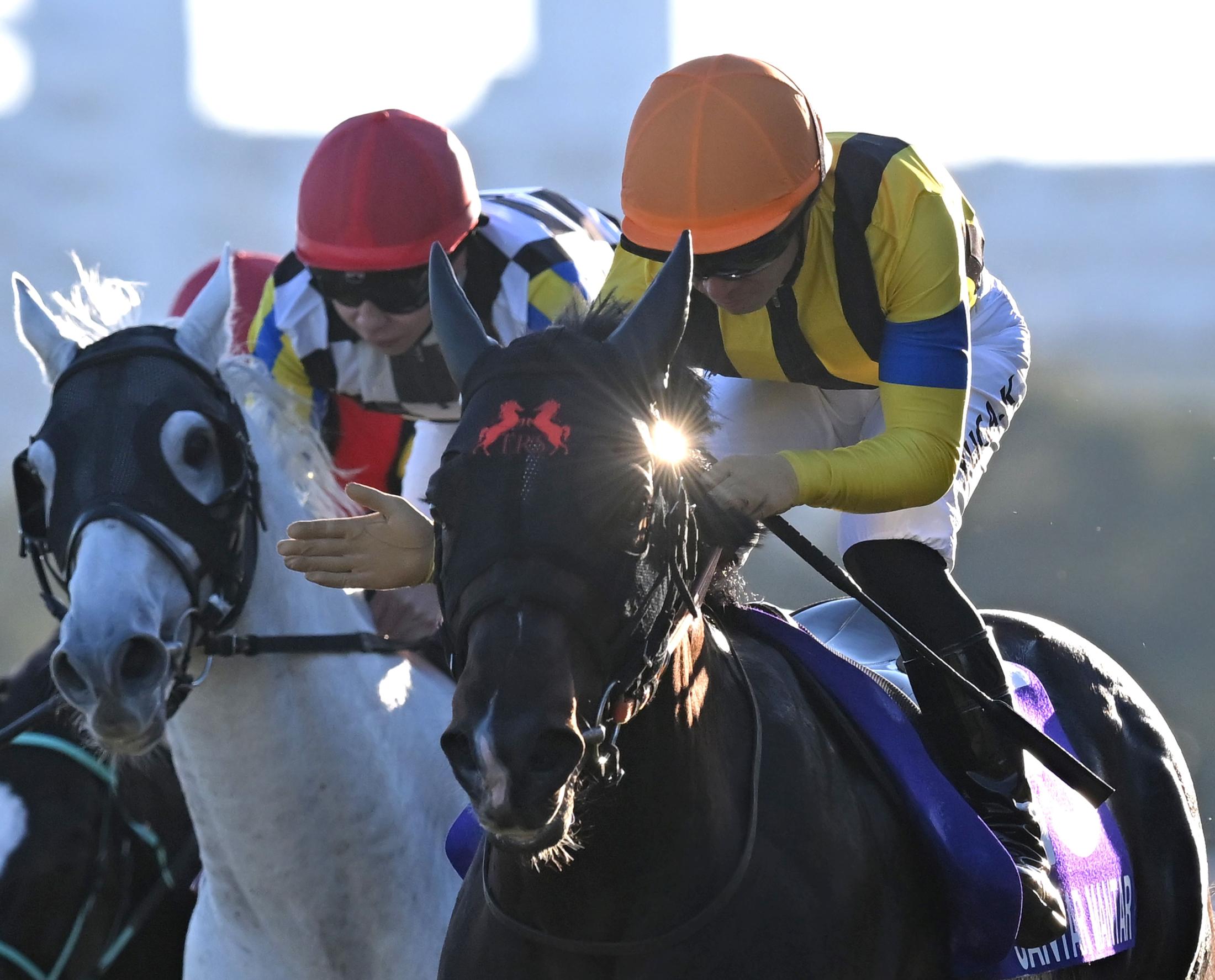 ڥޥãӡۥեǣܶ䡡ϽФڤաֺǸϵӤΰ㤤򸫤ޤ͡