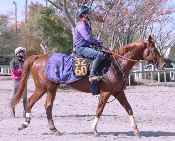 ݡ2S۳Ϥ&Ŭ1800᡼ȥϤԤäꡡַפ餪ϥ쥸