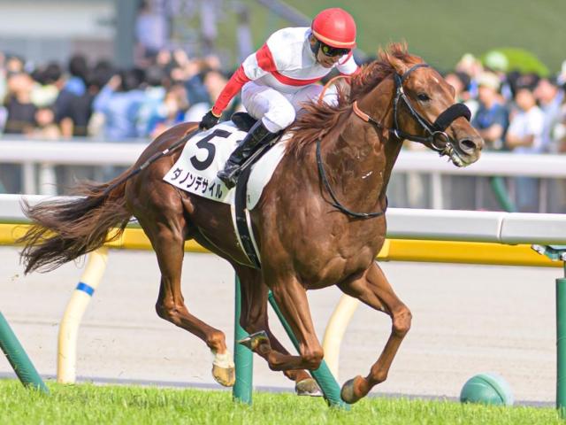 11ǯ³ Υǥ뤬ԥեͥΥѥCƤʤ뤫