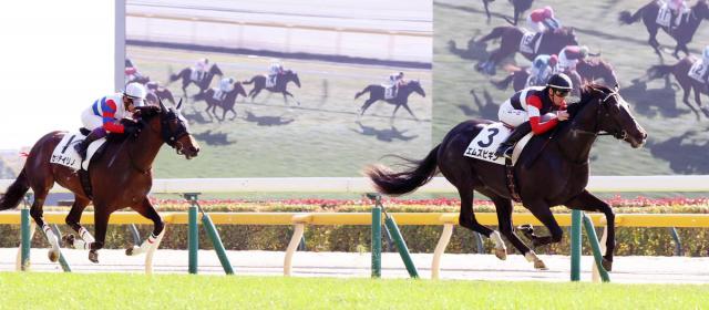 3R2̤ۥ쥯ȥ59000ߤΥॺӥVͧƻĴա֥ӡ˽Ф褦ˡ