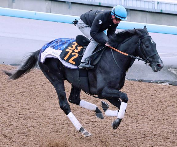 ݡ2SɤäƤҤȸۥΥå졼ĩॾȥޡɵ֤Ϥ¿1ƬȻפ