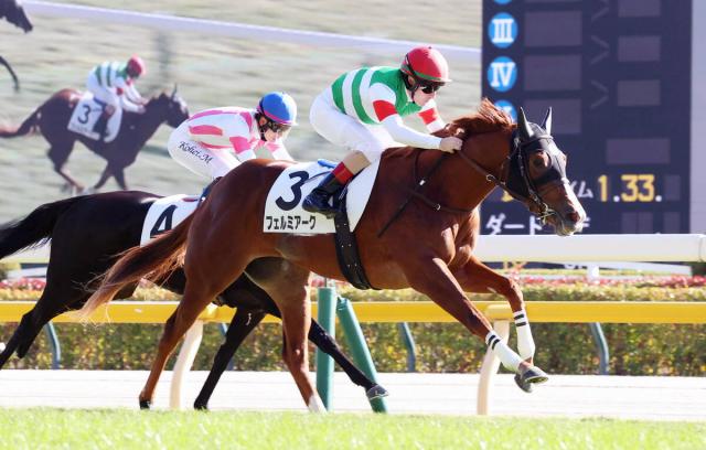 6R2пϡۥեߥФΥ졼ӤǴ᡼뵳֤Ǥ