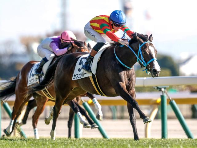 7R̡ۥեСͤȴV ϥƥɥ