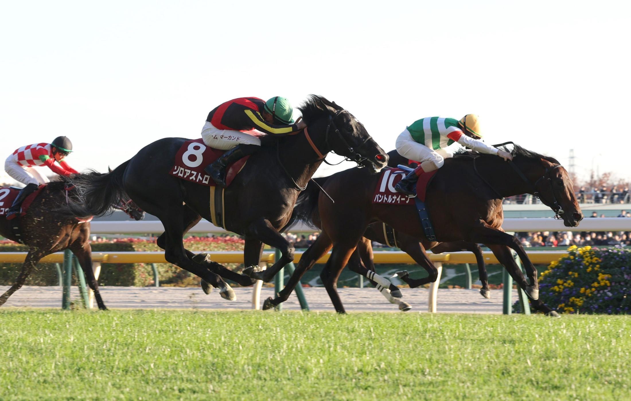 쥹գУӡֿۣ͵ѥȥʥդž޽