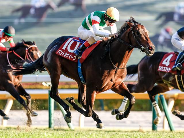 쥹2S̡ۥѥȥʥդ2Ϣǽž޽V