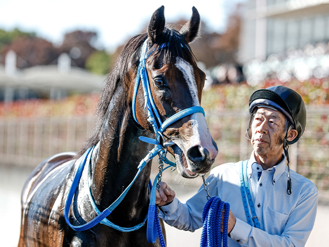 ڥᥤǥӥ塼7R졼女ȡۥեС A.ס󵳼