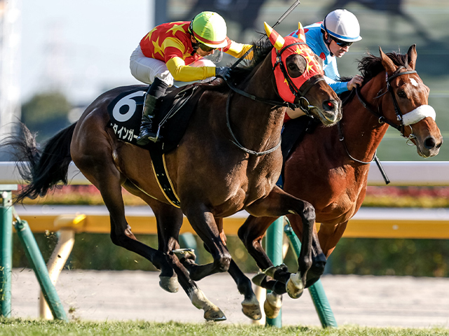 ̥졼女ȡۥХ󥿥󥬡