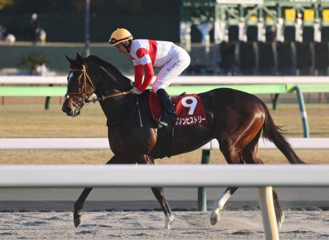 ݡ2S֥ۡǥ諒פޤν٤ġ1ֿ͵Υҥȥ꡼7