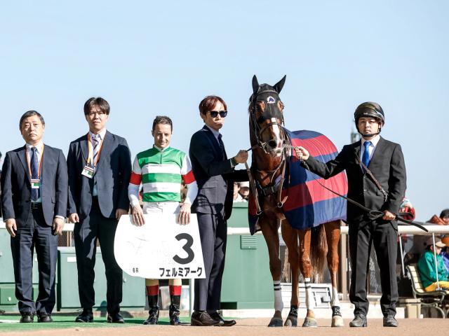 ڥᥤǥӥ塼6R졼女ȡۥեߥ C.᡼뵳