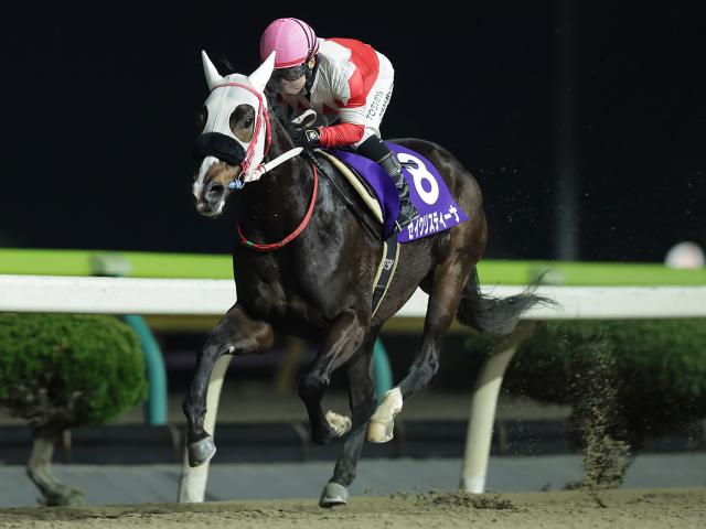 ڿƾ޷̡ۥꥹƥʤ7ϿȺǽž4