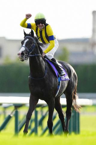 ڥѥCŸ˾۽°ӥޥ졼ɥܡG1ϢƤءԥ20ǯ֤곰Vĩ