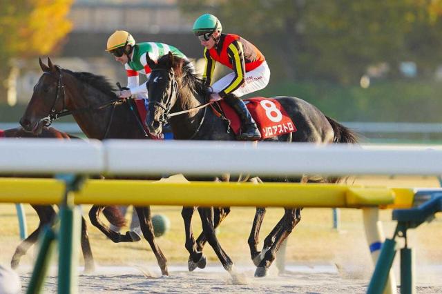 쥹2Sۥȥ2塡̵ǰΥޡɡ֥եäȴƤޤä