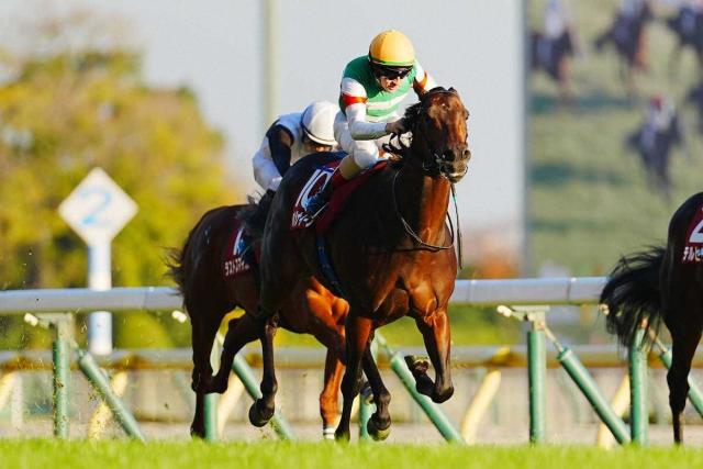 쥹2Sۥѥȥʥսž޽V!ä̯ȡ᡼֤̤褬