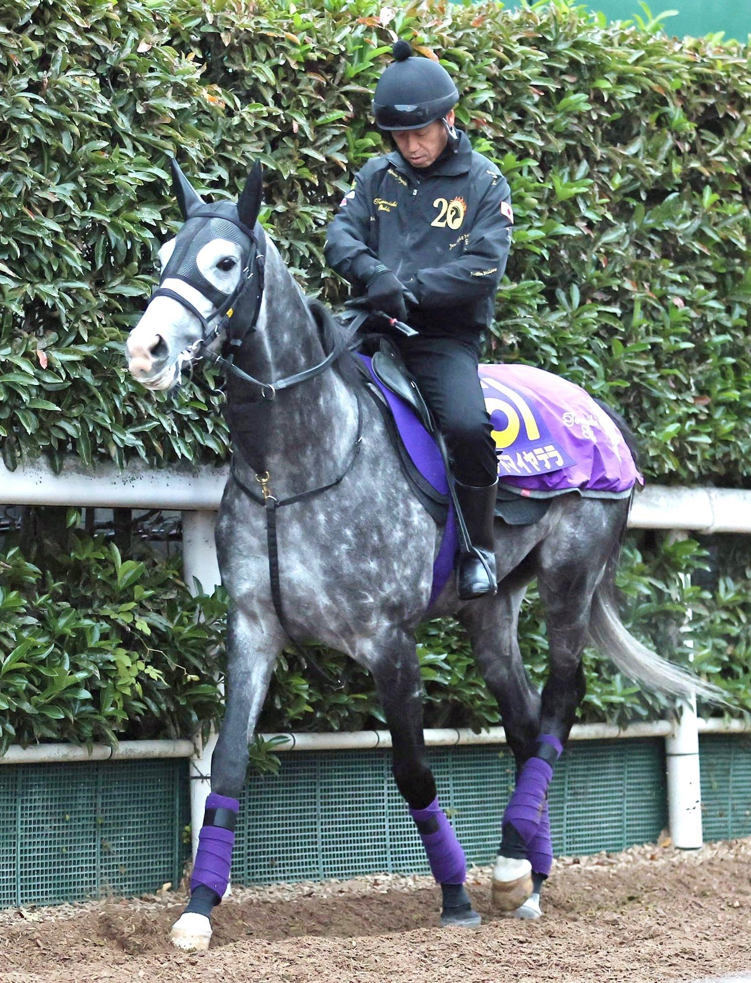 ڥѥáͣθ̤Τ̥Ϥդ륢ɥޥƥ顡ܹǰǽž޽֡ǣǸϤ魯ΤϽ