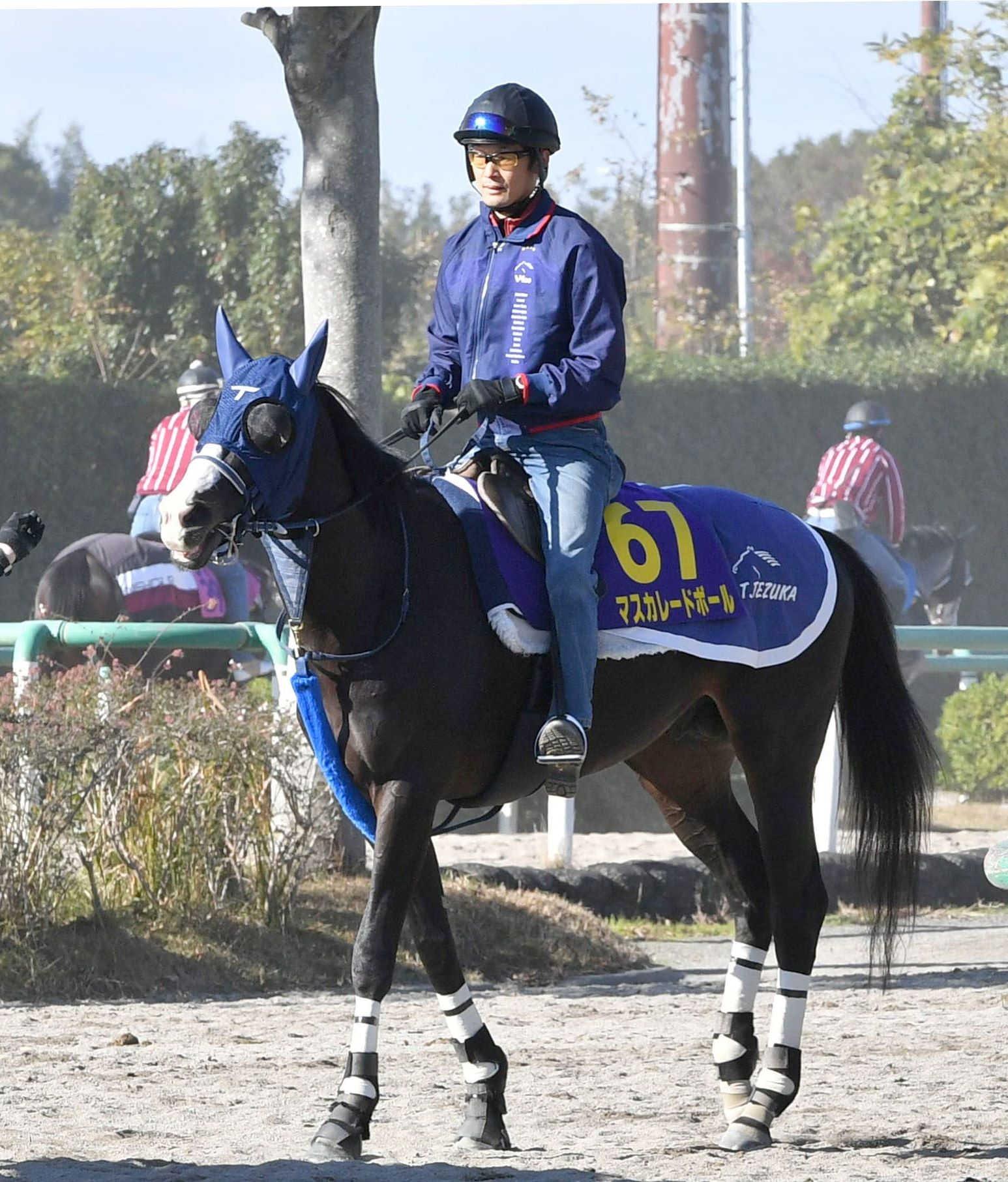 ڥѥáۥޥ졼ɥܡ롡Ʋ򡡣ϽνʣƤء͵׻ա̤Ͼ夬äƤ⡢̤ޤĴ