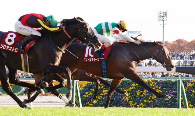 ݡ2S21ǯΥåΥ᡼뵳&¼ĴեӤVѥȥʥաG16Ϣ̾Ϥ³