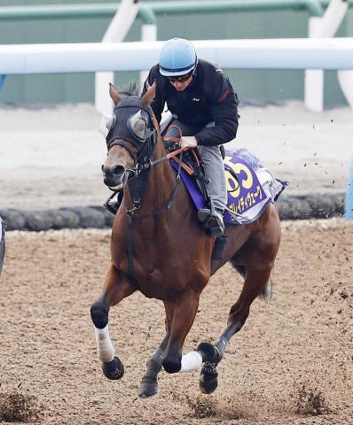 ڥѥCܤϡۤƶСĩ֥쥤ǥΰ㤦ԴǳƤѤ