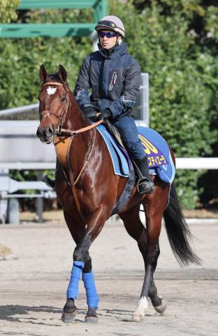 ڥѥCҤϡ2ǯܥӡϥƥ̯̣򿶤֤ȿϽʬ