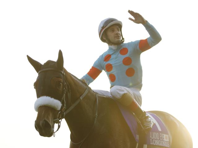 ѥCץ󥭥 Ϥ̥졼ͣΡ2ʬ20פ1