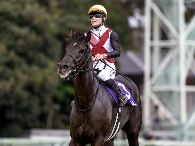 ڵ굳ۥ륬¼鵳ꡢڥݥåϾϵ