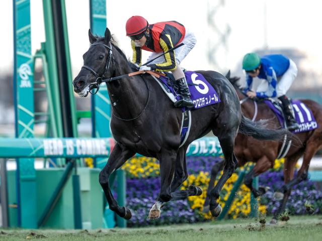 ڥѥCβ10ǯǡۥ꡼̤Ե٥ ɹϤϤޤä鷺