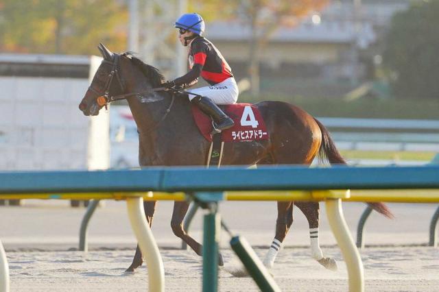 쥹2S襤ơ3饤ҥɥ顼ڵֺǸϡ⤦Ȥˡġ