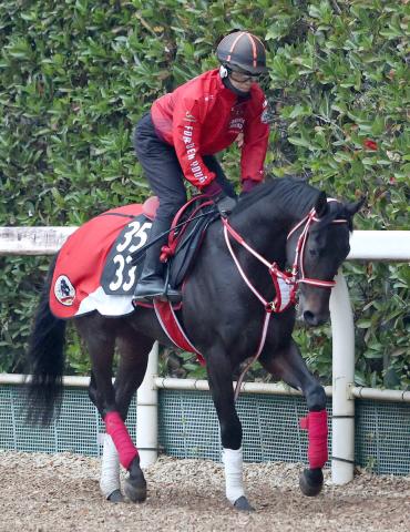 ڵ2SǼϡ㥳ȥ쥤Υե꡼ΩΤޤ