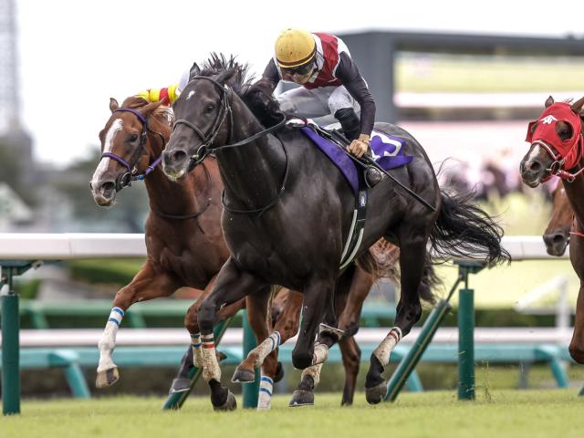 ڵͽۥåۥ륬뤬ͽ1ֿ͵