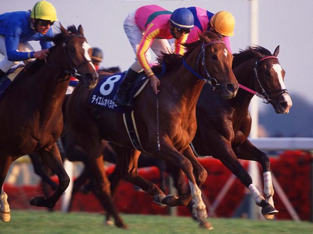 ѥCǹ޶ˤʤäǯ ƥ४ڥ饪00ǯ򿶤֤