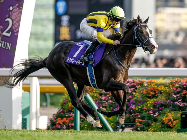 【ジャパンC展望】3歳勢が好走傾向、古馬連続撃破へマスカレードボールが主役