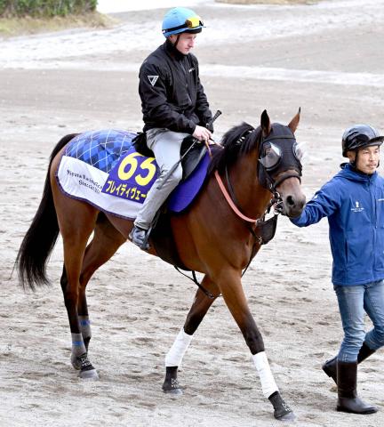 ڥѥCغ֥쥤ǥ϶ϤǽƥѤͽ