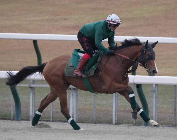 ڥѥCۡǶɥ󡡥ɥХ㿫٥ľֺξ֤100%