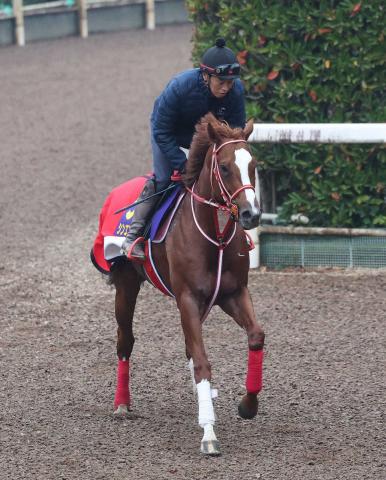 ڥѥCۥ󥨥ڥ顼кǸ̡ʤäʬäΤɤä