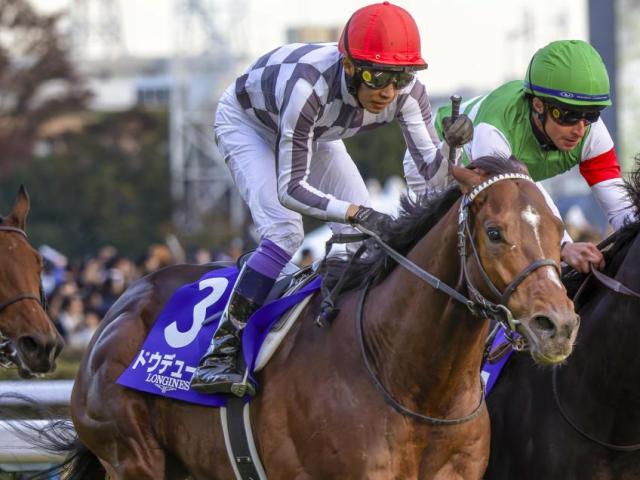 ジャパンCは上位人気安定 近況好調の馬を素直に信頼