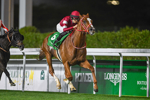 󥨥ڥ顼ˤճʵϿ ե󥹻Ϥä˾